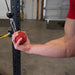 Body Solid Tools BSTCB Cannonball Grips Body Solid