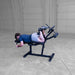 Body Solid GLCE365B Seated Leg Extension & Supine Curl Body Solid